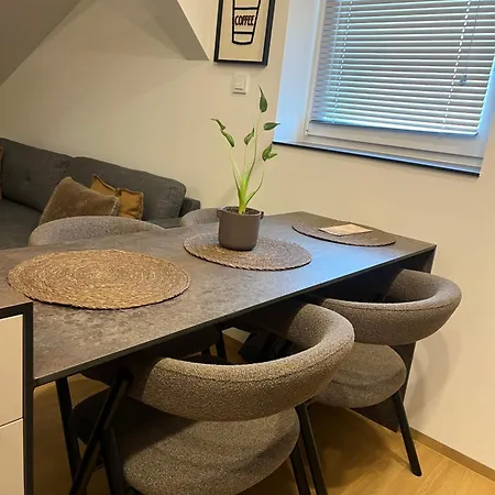 Premium Apartment Stary Sacz